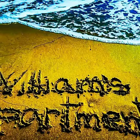 William's - Second Cozy *