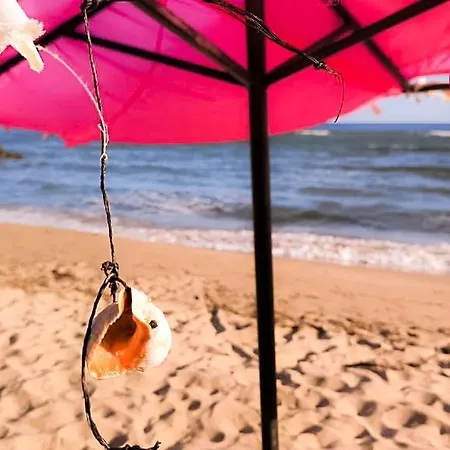 William's - Second Cozy