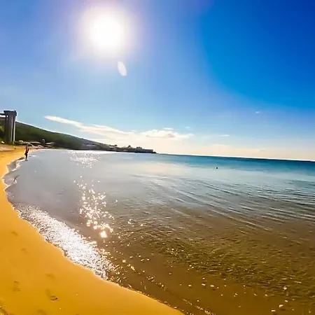 William's - Second Cozy Sweti Wlas