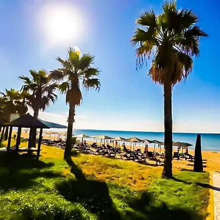 William's - Second Cozy Sweti Wlas