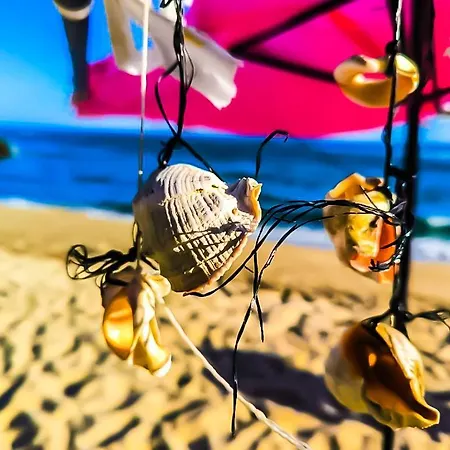 William's - Second Cozy * Sweti Wlas