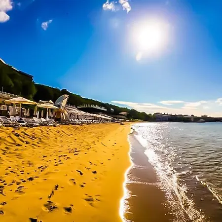 William's - Second Cozy