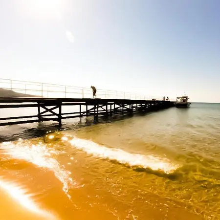 William's - Second Cozy Apartment