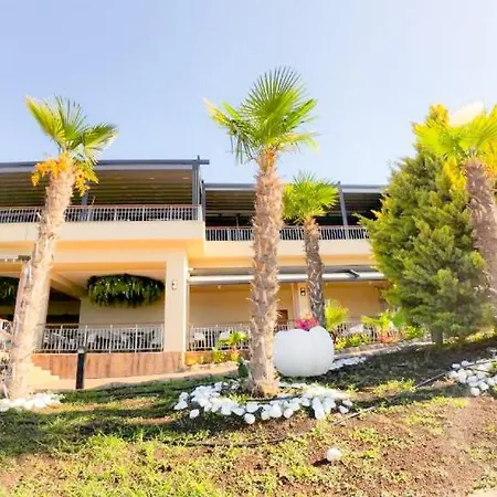 William's - Second Cozy Sweti Wlas