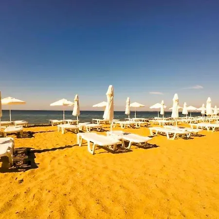 William's - Second Cozy Apartment