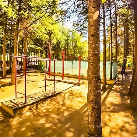 William's - Second Cozy Sweti Wlas