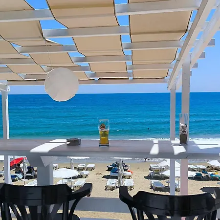 William's - Second Cozy *