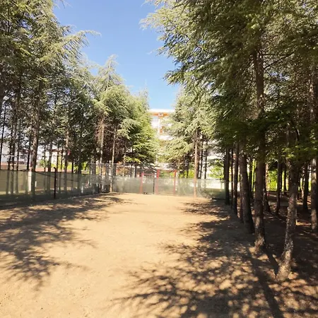 William's - Second Cozy * Sveti Vlas