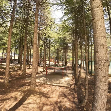 William's - Second Cozy Daire