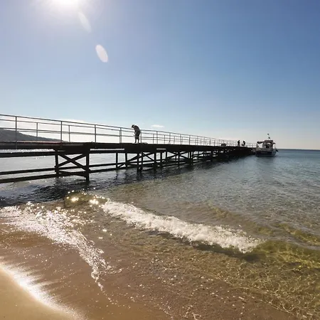 Daire William's - Second Cozy