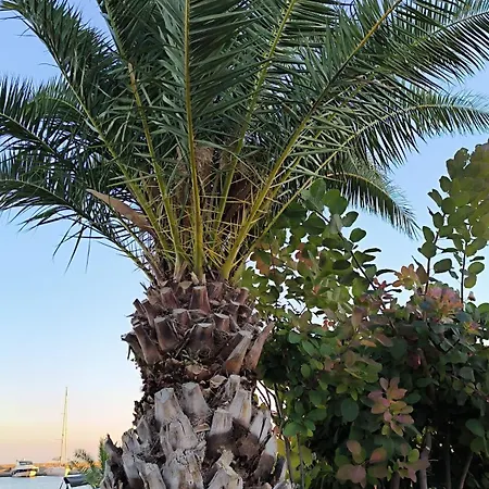 William's - Second Cozy Apartamento Sveti Vlas