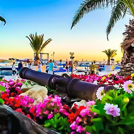 William's - Second Cozy Apartament *