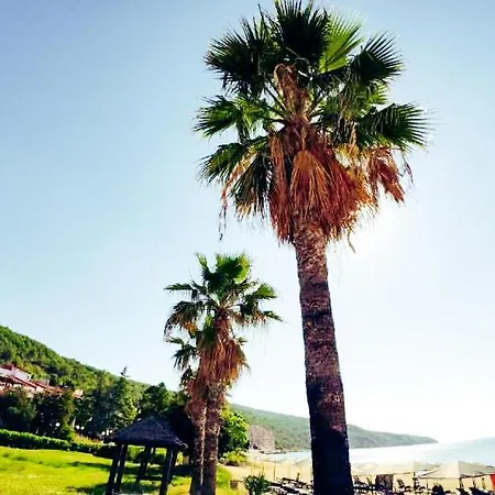 William's - Second Cozy Sveti Vlas