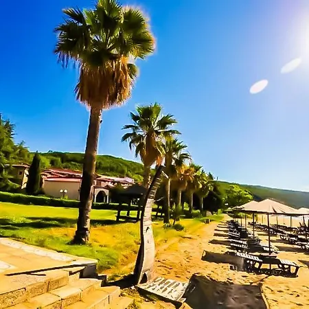 William's - Second Cozy