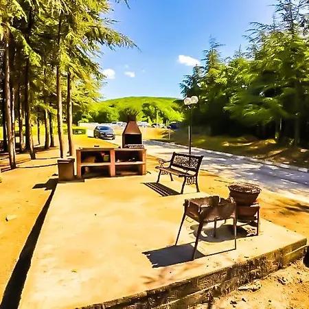 Apartament William's - Second Cozy *