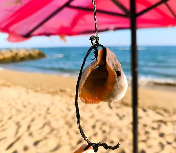 William's - Second Cozy