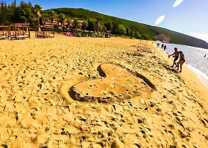 William's - Second Cozy سفيتي فلاس