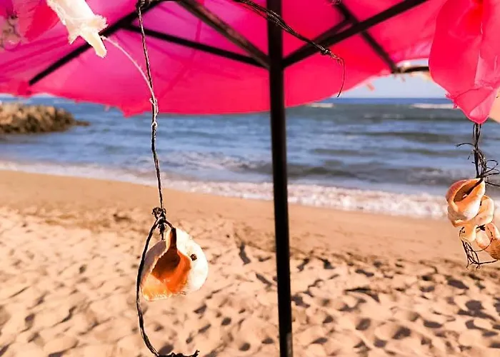 William's - Second Cozy