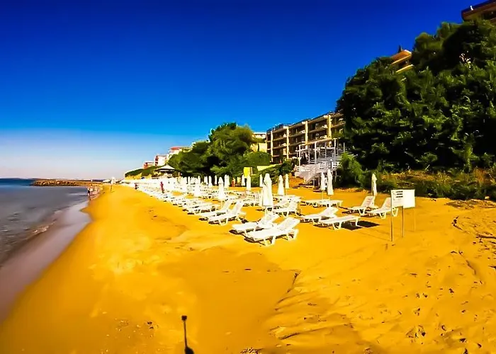 William's - Second Cozy * سفيتي فلاس