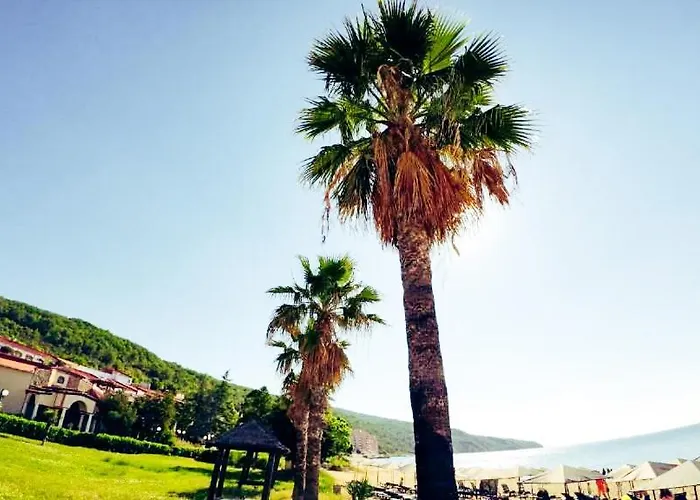 William's - Second Cozy سفيتي فلاس