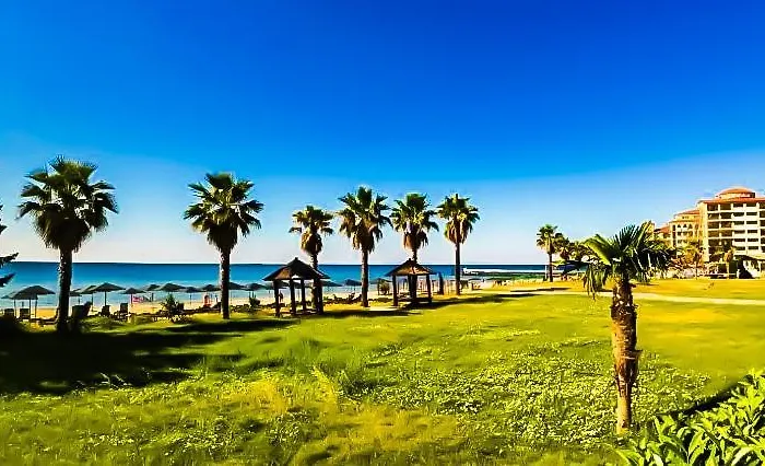 William's - Second Cozy سفيتي فلاس