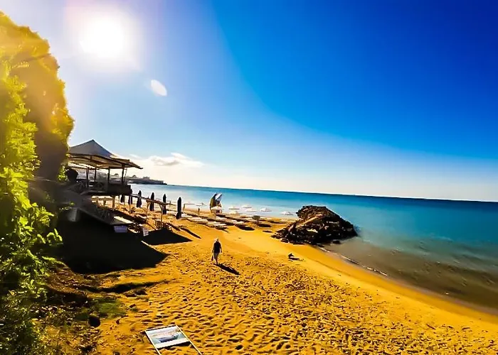 William's - Second Cozy