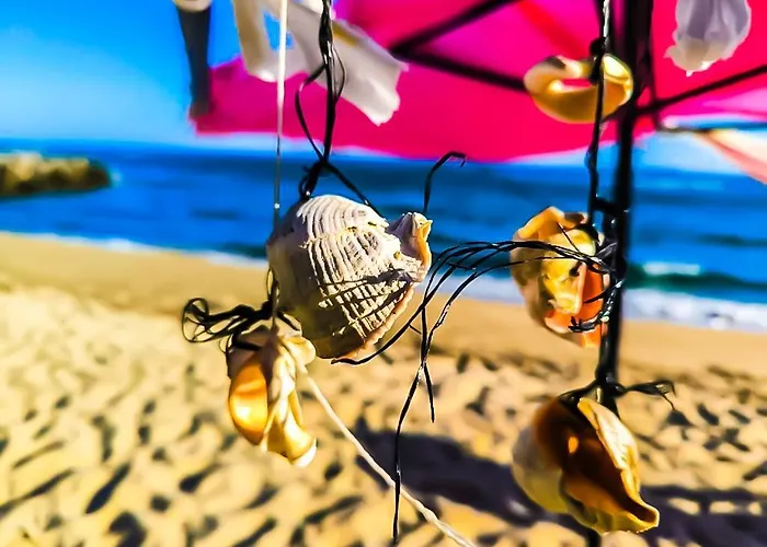 William's - Second Cozy * سفيتي فلاس