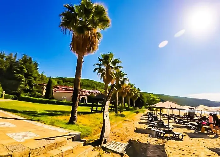 William's - Second Cozy